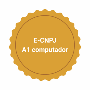E-CNPJ A1