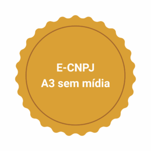 E-CNPJ A3 sem mídia